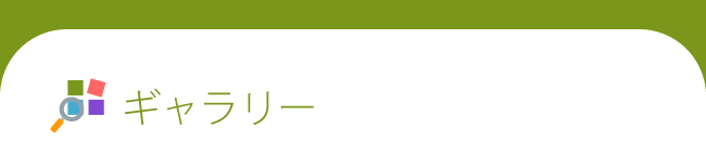 ギャラリー