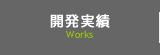 開発実績