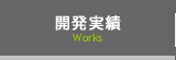 開発実績