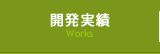 開発実績