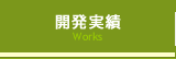 開発実績
