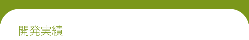 開発実績